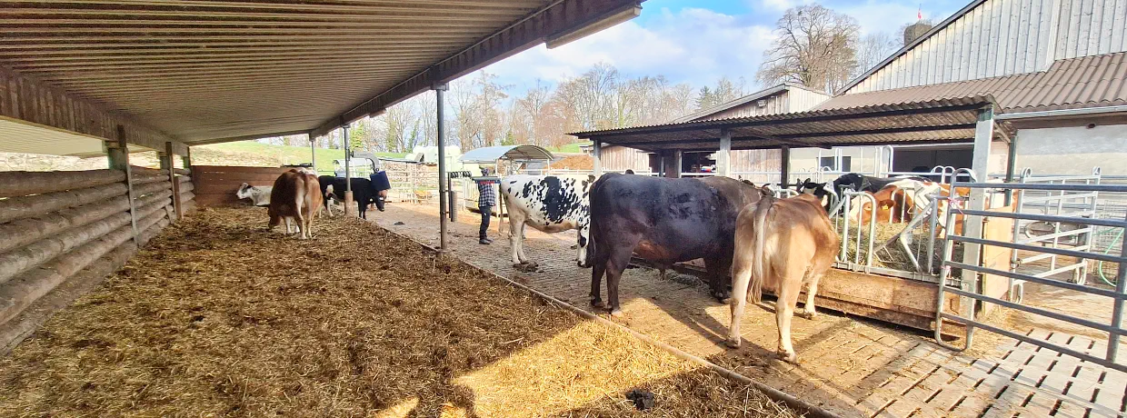Viel Platz für alle Tiere.