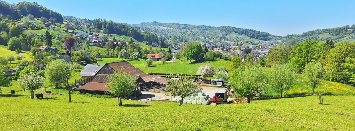 Rund um den Pensionshof erschliessen sich die Weideflächen.
