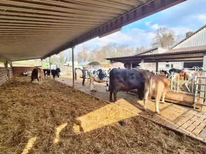 Genügend Platz für alle Tiere.