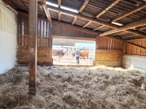 Neuer Liegebereich zum sich Wohlfühlen.