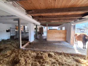 Neue Liegeflächen für die kleineren Tiere.