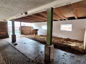 Neue Liegefläche für die kleineren Tiere.