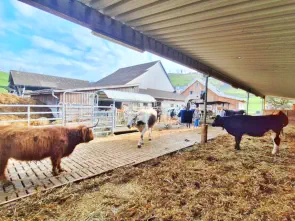 Aussenbereich mit grosszügiger Liegefläche.
