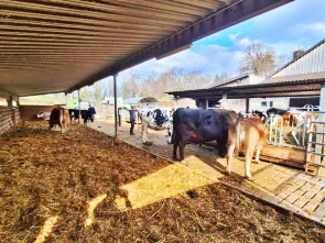 Genügend Platz für alle Tiere.