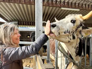 Begegnungsort für Mensch und Tier.