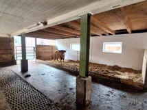 Neue Liegefläche für die kleineren Tiere.