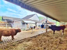 Aussenbereich mit grosszügiger Liegefläche.