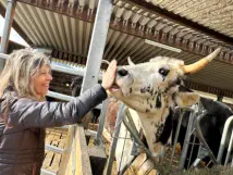 Begegnungsort für Mensch und Tier.